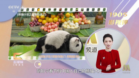 成人午夜黄色